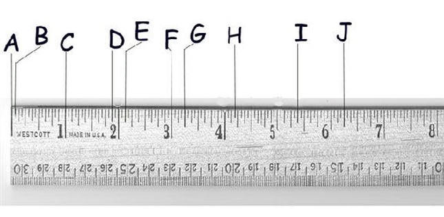 how much is a ruler